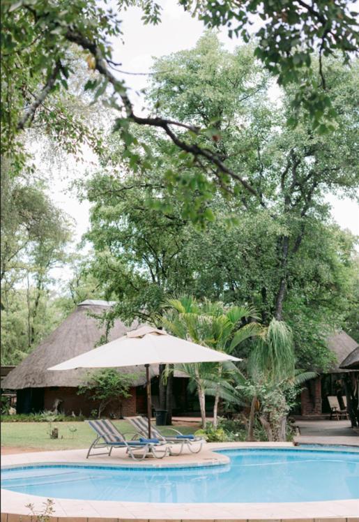 Limpokwena Nature Reserve Tokio Buitenkant foto