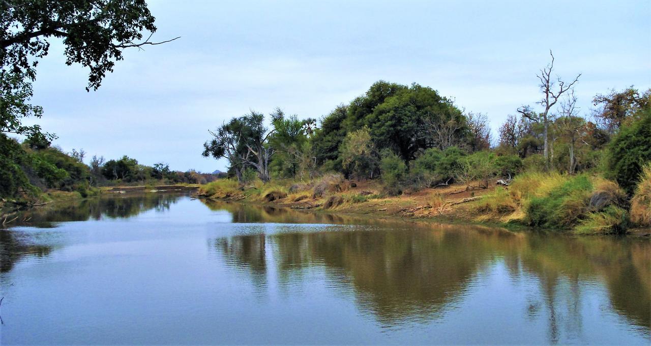 Limpokwena Nature Reserve Tokio Buitenkant foto