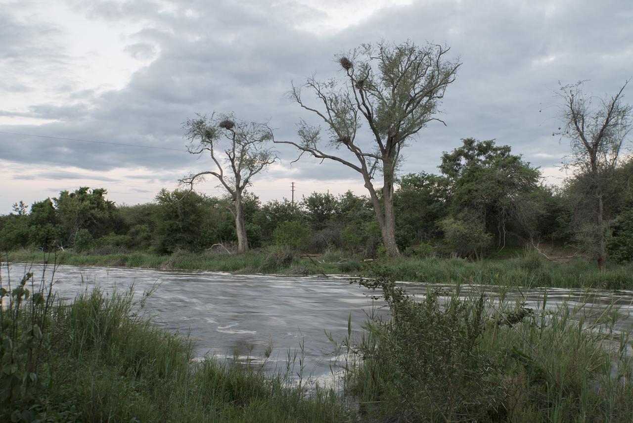 Limpokwena Nature Reserve Tokio Buitenkant foto